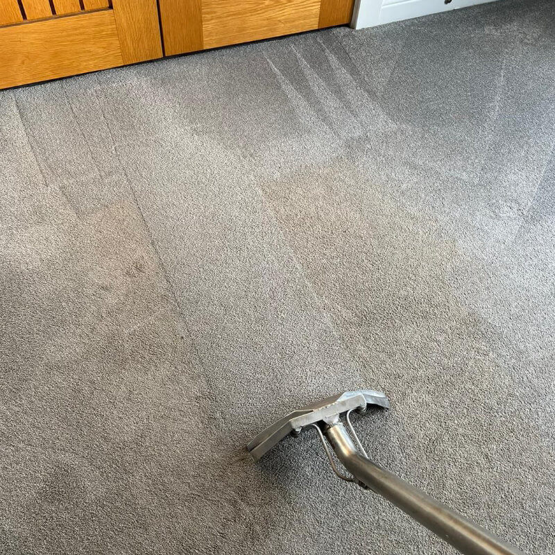 Carpet Cleaning Service