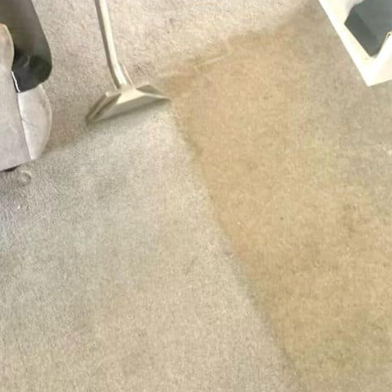 Carpet Cleaning Service
