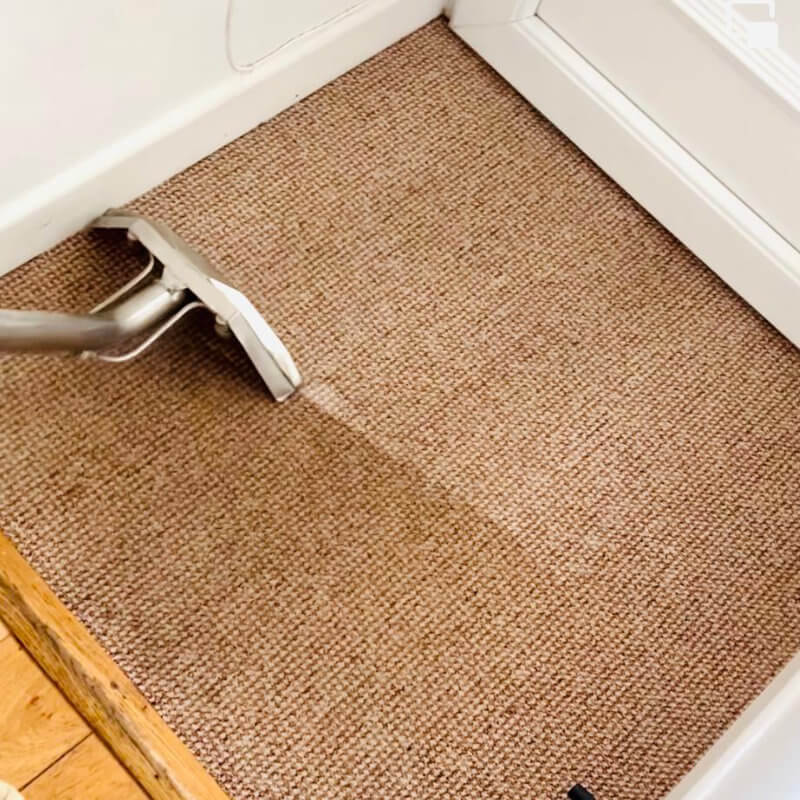 Carpet Cleaning Service