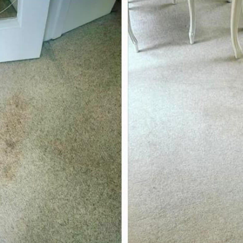 Carpet Cleaning Service